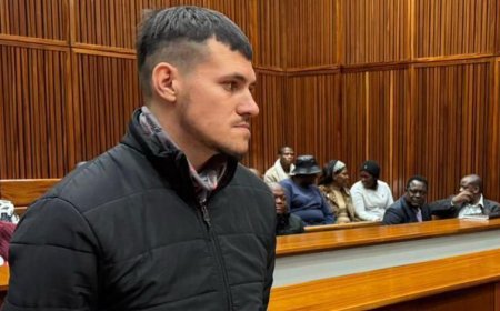 Dispose of Evidence: Farm Worker Describes Feeding Women to Pigs