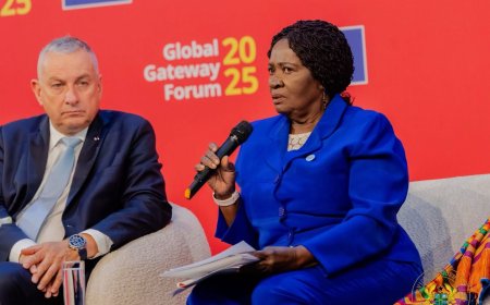 No More Exploitation: VP Jane Naana Demands Fairness in International Partnerships