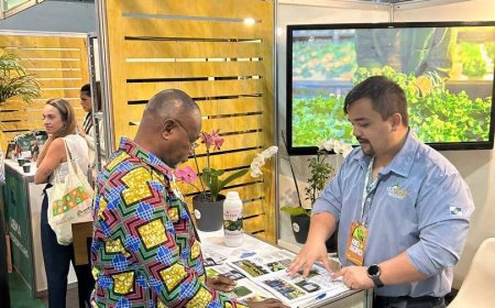 Ghana's Ambassador to Brazil Joins Global Experts to Address Food Security and Climate Change