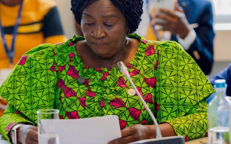 Jane Naana Calls for Fairness and Sustainability in Global Cocoa Industry   