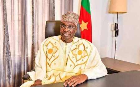 Cameroon's Opposition Leader Declares Victory in Presidential Election