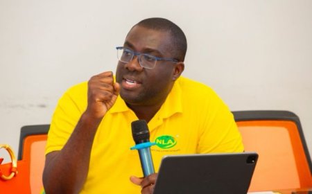 Fourth Estate Ridiculed: NLA-KGL 'Fishing Expedition' Sparks Scorn