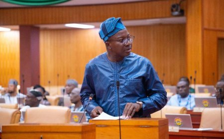 Cabinet Reverses Akufo-Addo's University Renames