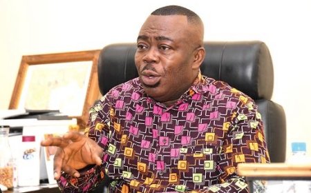 Asamoah Boateng Throws Hat into Ring for NPP Top Job   