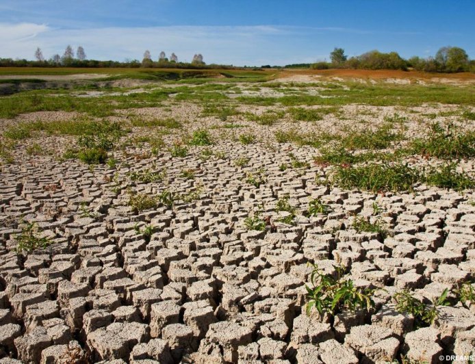 Deforestation Alarms: World Failing Miserably to Meet 2030 Forest Protection Goals