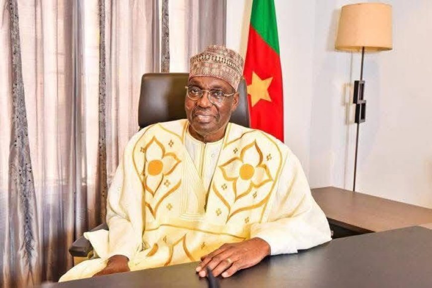 Cameroon's Opposition Leader Declares Victory in Presidential Election