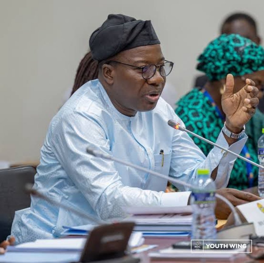 Gov't Flagship Programmes Under Fire: Majority Leader Pushes Back   