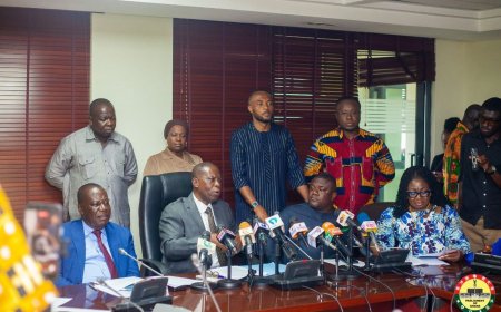 Cocoa Cash Crisis: Govt Slammed for 'Betraying' Farmers